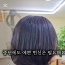 샴퓨 | 매직스트레이트와 매직 차이, 샴퓨 관리법 쉽게 풀어드려요.