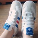 드래곤(dragon) 이미지