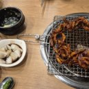 오늘도산호숯불아나고 이미지