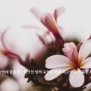 메디바이오인터내셔널