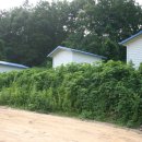 두레농장 이미지