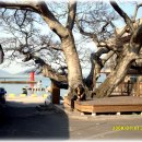 대포마을회관 이미지