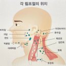 오늘기획 네이버블로그