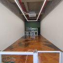 미용하개, 놀다가개 이미지