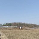 천안농협주유소 이미지