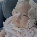 하빈쇼핑