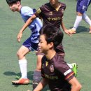 하나fc