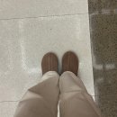[Shoes] 어그 타스만 2 (UGG Tasman II) 로키 오크 후기