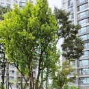 리치TOP공인중개사사무소 이미지