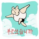 자주적관람 네이버블로그