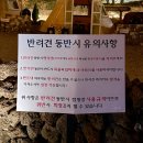 팔꽁이 | 대구 팔공산 맛집 크리스마스 애견동반 가능한 캠프닉 글램핑 식당 팔꽁이 내돈내산