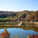 하마캠핑장 이미지