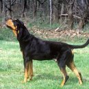 머리앤드 이미지