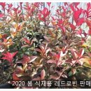 로빈 티스토리