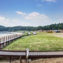 구례포 야영장 이미지