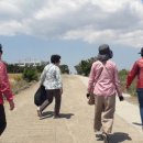 올레캠프본점알파캠프 이미지