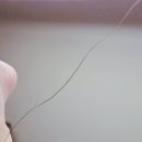 수원-1135 | [인천] 염색/모발클리닉 잘하는 부평역미용실 '르메르헤어' 재방문함 (여린실장님 아윤채클리닉 후기)