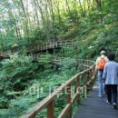 흙과나무의파도소리 이미지