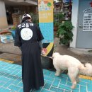 씻고올개 이미지