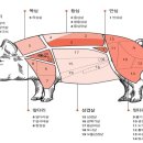 고기수첩 이미지