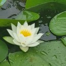 청락원 이미지