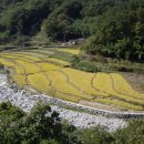 상이리 계곡 이미지