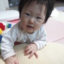명당연향 이미지