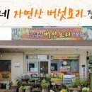 속리산황가네자연산버섯요리 네이버블로그