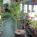 만남세탁소 이미지