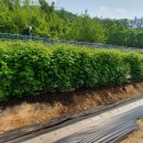 이상태농장 이미지