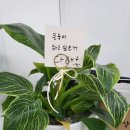 한국체대 아라태권도장 이미지