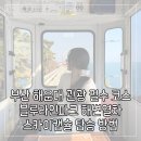 부산 해운대 여행 필수코스 블루라인 파크 스카이캡슐 해변열차 위치, 티켓 저렴하게 구매 방법
