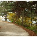 미륵원지 이미지