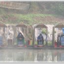 블랙세인트 이미지