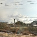 논산 딸기축제 첫 방문기_서울 출발, 구매꿀팁