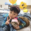 네일바이율 네이버블로그