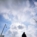인천 회맛집:아라뱃길 서해5도 수산물 복합문화센터 센터:대청도혁이네 가성비 재방문