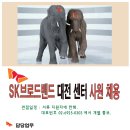 (주)파인스태프 - (8/29면접)SK브로드밴드 대전 사원 모집/주5일 이미지