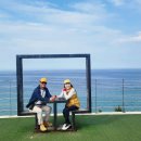 바다정원 이미지