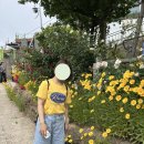 이마트24 괴정번성점 | 묵호항 뚜벅이 필수 코스, 논골담길 — 이 동네 벽화 진짜 압도적으로 예쁩니다