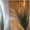 에이지하우스 키즈 | 조용하게 쉬기 좋은 제주도펜션 에이지하우스키즈 후기