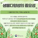 이재중 | 삼락회 탄소제로 동호회 첫 자원 봉사 활동 : 방배숲환경도서관에서 생물다양성 관련 그림책 읽고 밖...