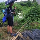석문마을회관 Daum카페