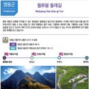 소나무여울공원 | 📌충북 영동 월류봉 둘레길 🚶‍♀️8.4km 무장애 걷기 코스 힐링 여행