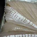 감포참가자미식당 이미지