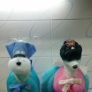 오렌지애견 - 용산구 이촌로 101 | 오렌지애견
