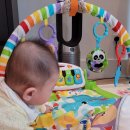 모모 파크 이미지