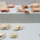 부산해양자연사박물관 이미지