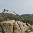 팔봉김밥 이미지