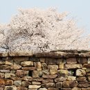 선운 농장 이미지